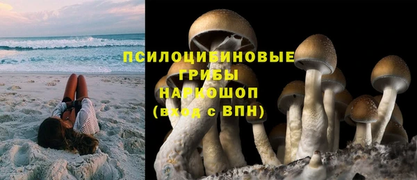 соль ск Краснотурьинск